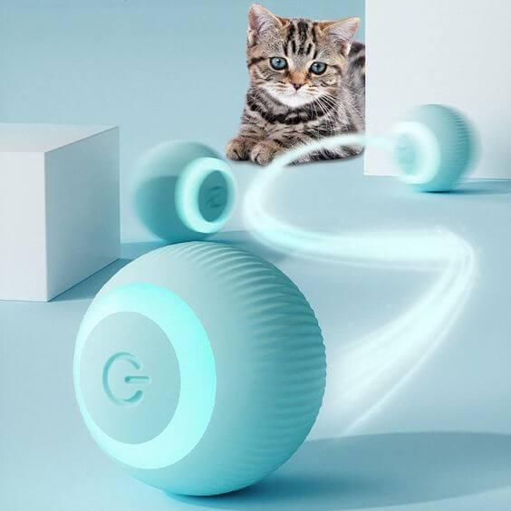 Bola Elétrica para o seu Pet