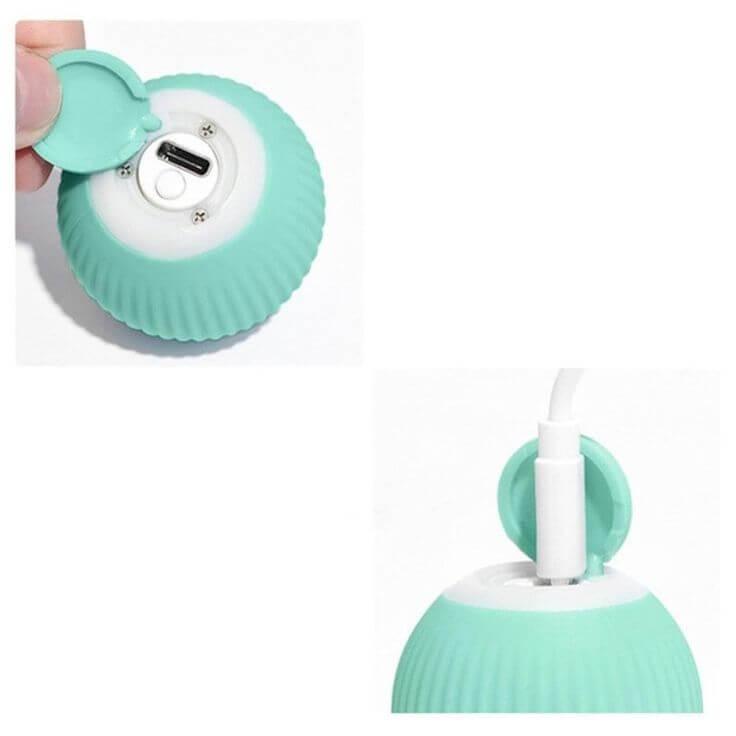 Bola Elétrica para o seu Pet